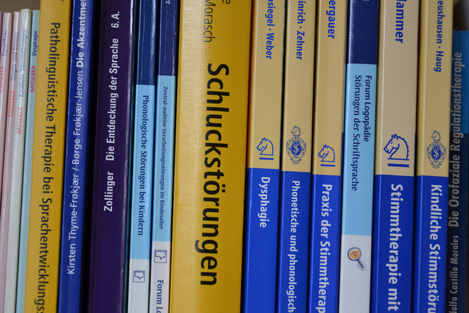 Praxis für Logopädie, Behandlung von Schluckstörungen