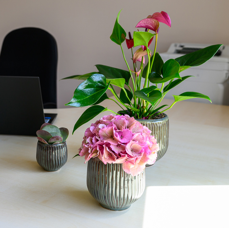 Praxis für Logopädie und Lerntherapie Birte Bönneken